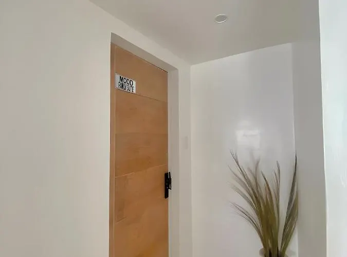 Apartment New Modern Near Airport &